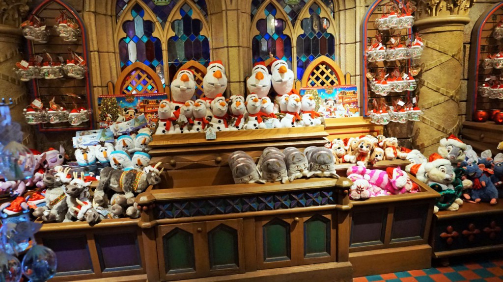 DSC05275 (2)